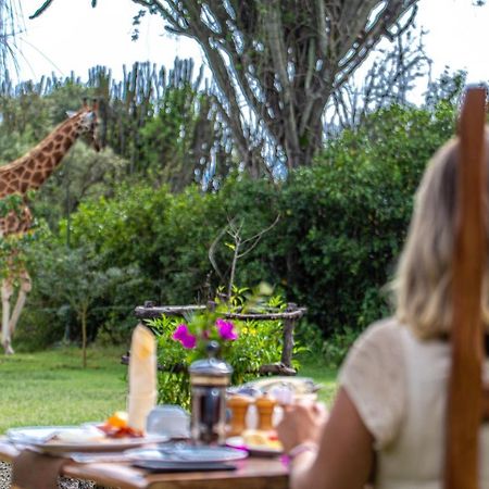 Mbweha Camp Lake Nakuru Elmenteita Εξωτερικό φωτογραφία