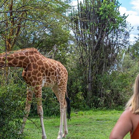 Mbweha Camp Lake Nakuru Elmenteita Εξωτερικό φωτογραφία