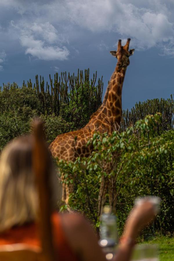 Mbweha Camp Lake Nakuru Elmenteita Εξωτερικό φωτογραφία