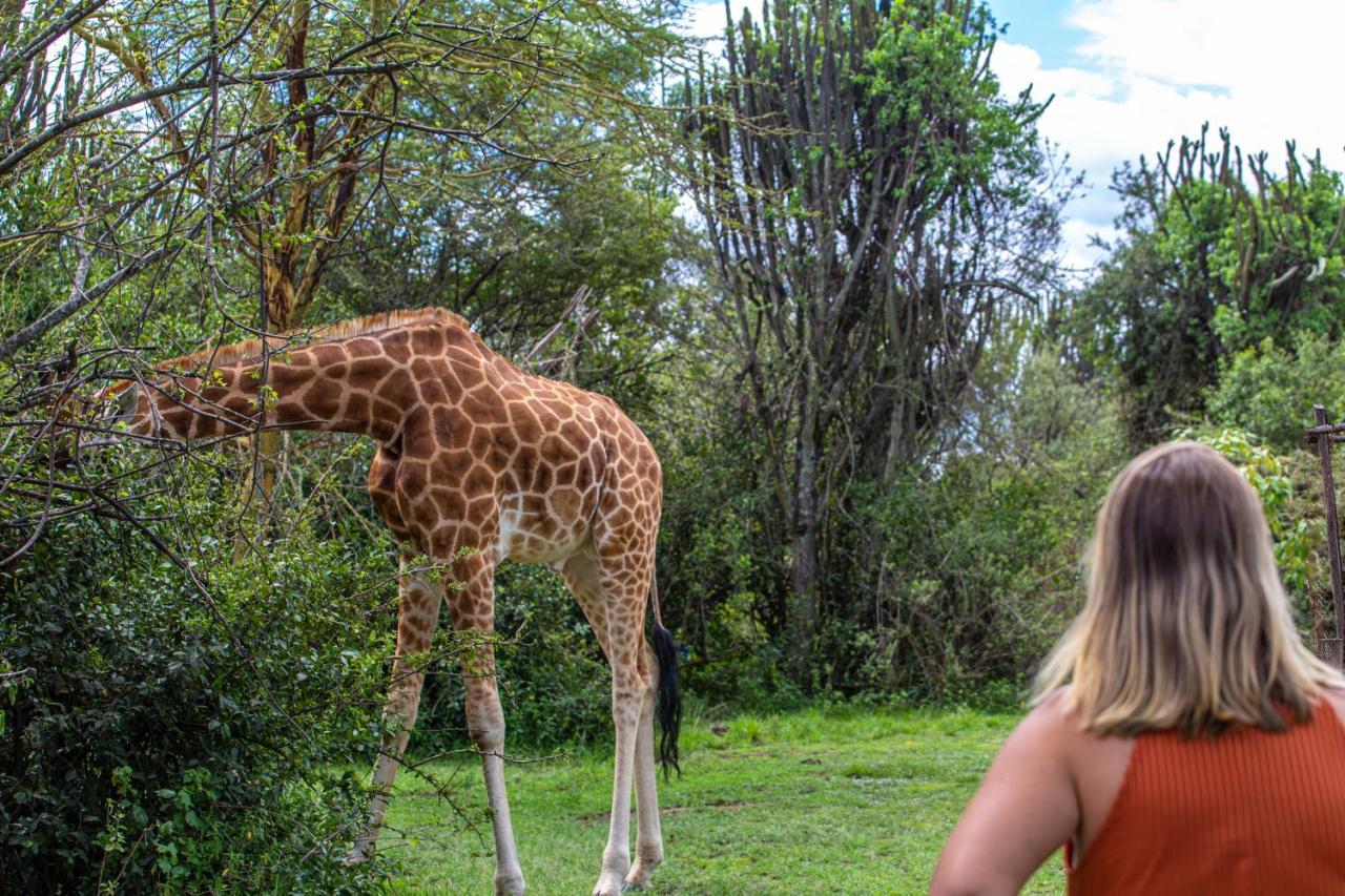 Mbweha Camp Lake Nakuru Elmenteita Εξωτερικό φωτογραφία