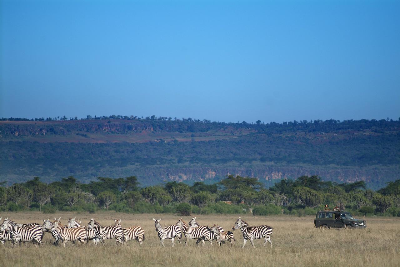 Mbweha Camp Lake Nakuru Elmenteita Εξωτερικό φωτογραφία